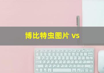 博比特虫图片 vs